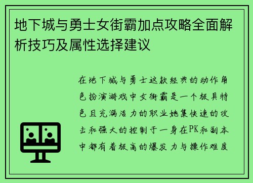 地下城与勇士女街霸加点攻略全面解析技巧及属性选择建议